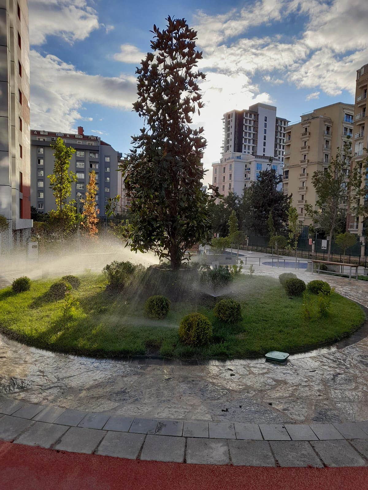 service single images